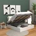 Lit coffre 160x190 sommier