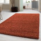 Carpetsale24 Uni Tapis de Salon Shaggy Uni Tapis Terrecuite 200x290 cm Chambre Tapis Poil Long Moelleux et Doux