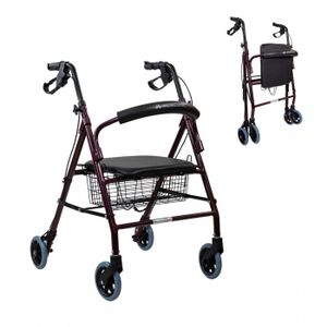 Deambulateur 3 Roues Achat Vente Accessoires Aide A La Mobilite Pas Cher Soldes Sur Cdiscount