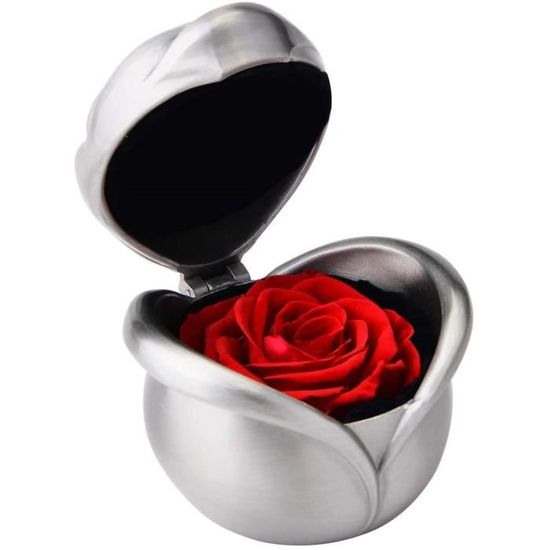 Rose Du Petit Prince Éternelle Sous Dôme En Verre Avec LED - Cadeau Saint Valentin Rouge