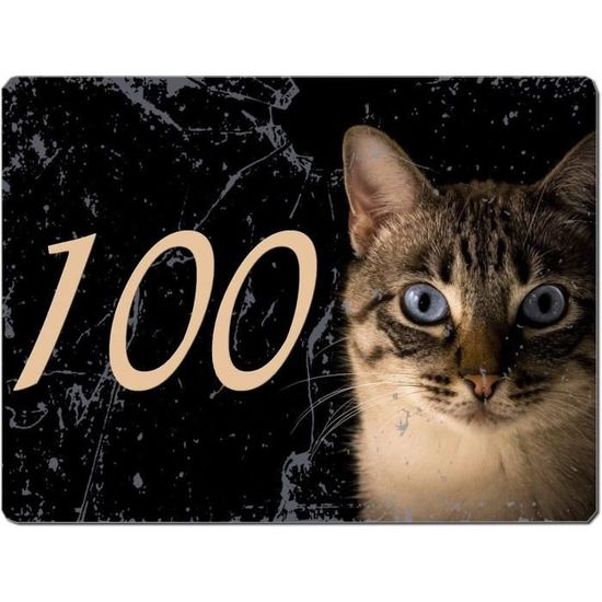 Plaque boite aux lettres personnalisable numero adresse à personnaliser  motif chat chaton[412] - Cdiscount Bricolage