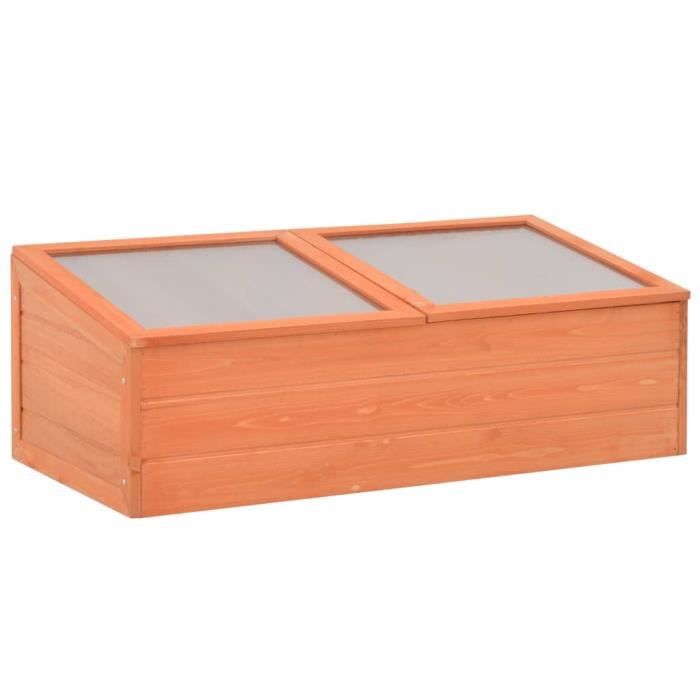 Serre de Jardin Serre à tomates Légumes, ExtérieurBois 100 x 50 x 34 cm