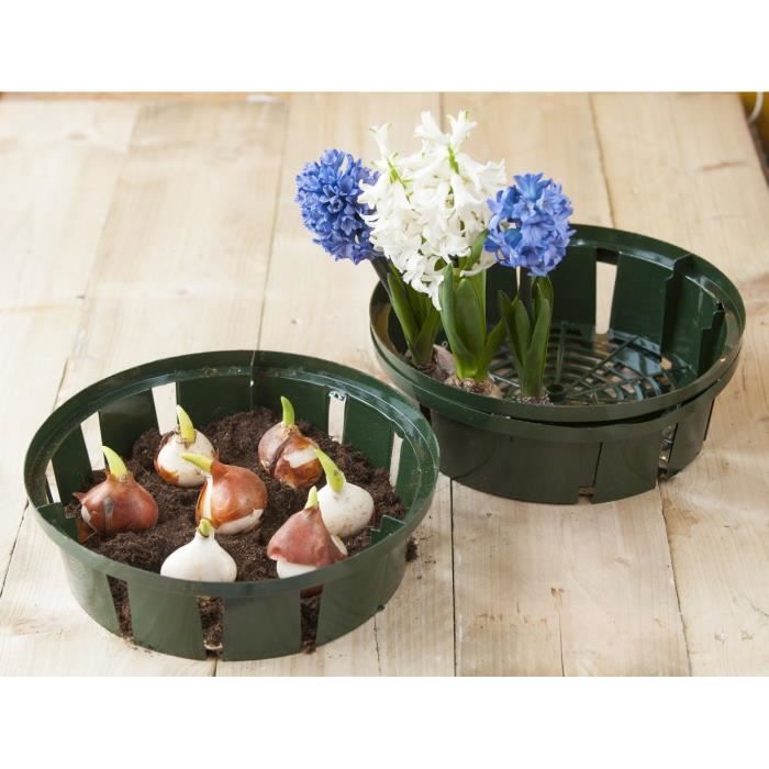 Lot de 3 bacs à bulbes H7 x diam 22 cm