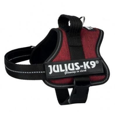 JULIUS K9 Harnais Power Mini-Mini–S : 40–53 cm - 22 mm - Rouge bordeaux - Pour chien