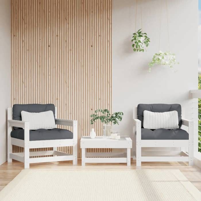 vidaXL Chaises de Jardin 2 pcs Sièges avec Accoudoir Fauteuils avec Dossier Meuble de Terrasse Patio Extérieur 825493