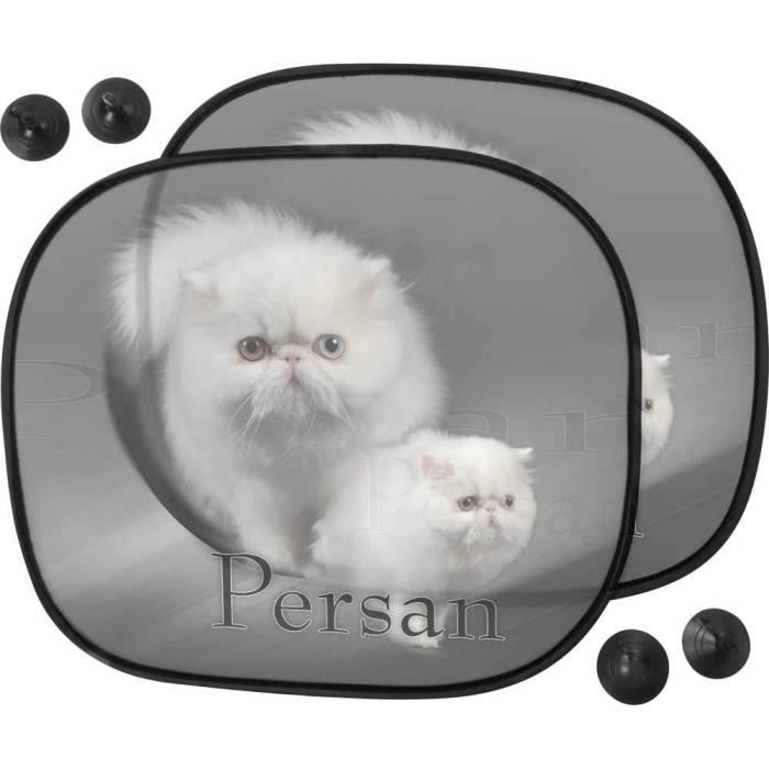 Panneau Pare-brise "Chat à Bord" - Design Chat Noir Et Blanc | 20x16.5cm Avec Ventouses | Pour Voiture - Fabriqué En Pologne