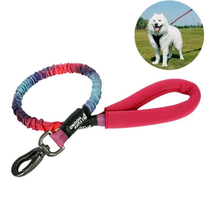 Meilleurs prix pour Laisse pour Gros Chien - ZGEER - Réglable et Élastique - Rouge - Nylon - Corde