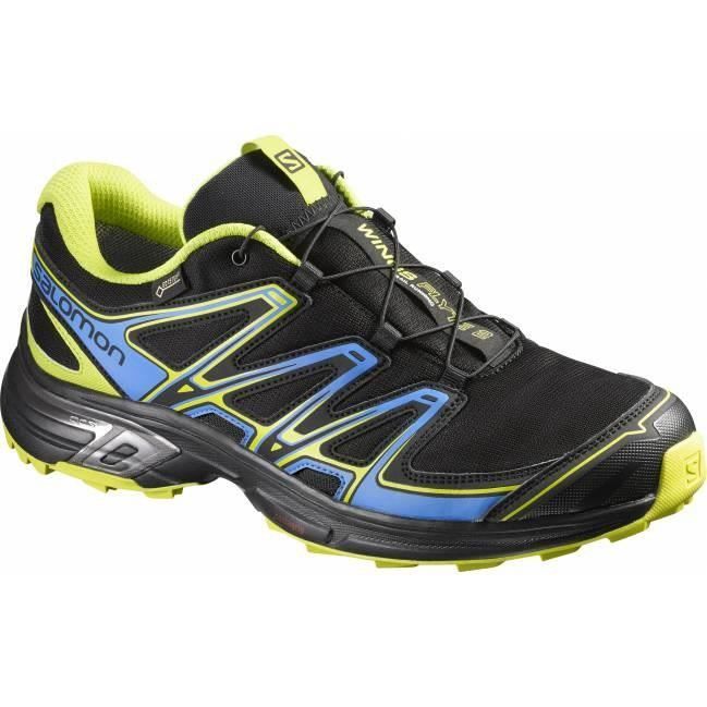 SALOMON Chaussures Wings Flyte 2 Gtx Homme Noir Bleu Vert Cdiscount Sport