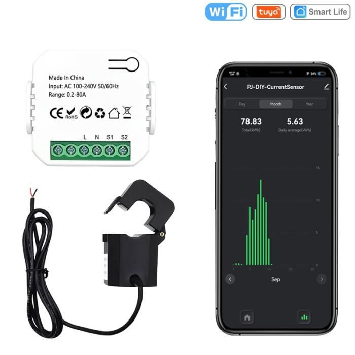 Compteur D'énergie Intelligent Tuya WiFi 100A - Pour Rail DIN, Monophasé 220V