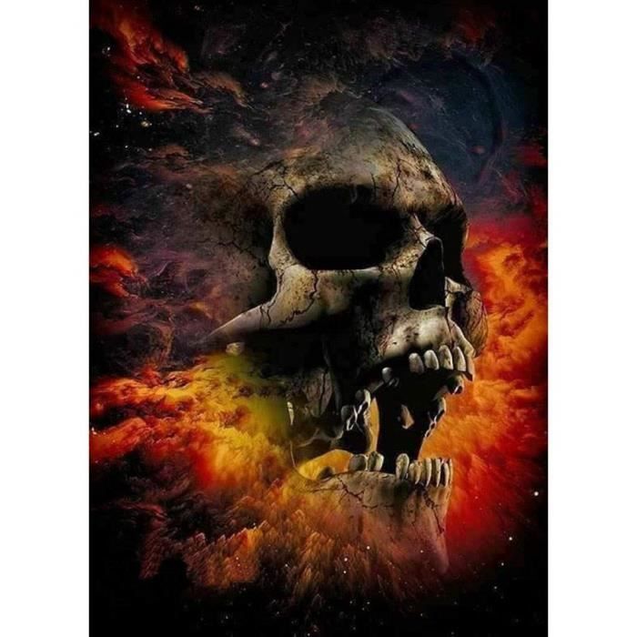 Diamond Painting Tete De Mort Crane 5d Diy Kit De Peinture Au Diamant Broderie Peinture Murale M38 Achat Vente Tableau Toile Cdiscount