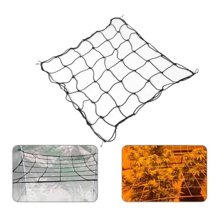 JIEBAO Filet De Treillis Élastique 120x120cm Avec 4 Crochets - Support Pour Plantes Grimpantes