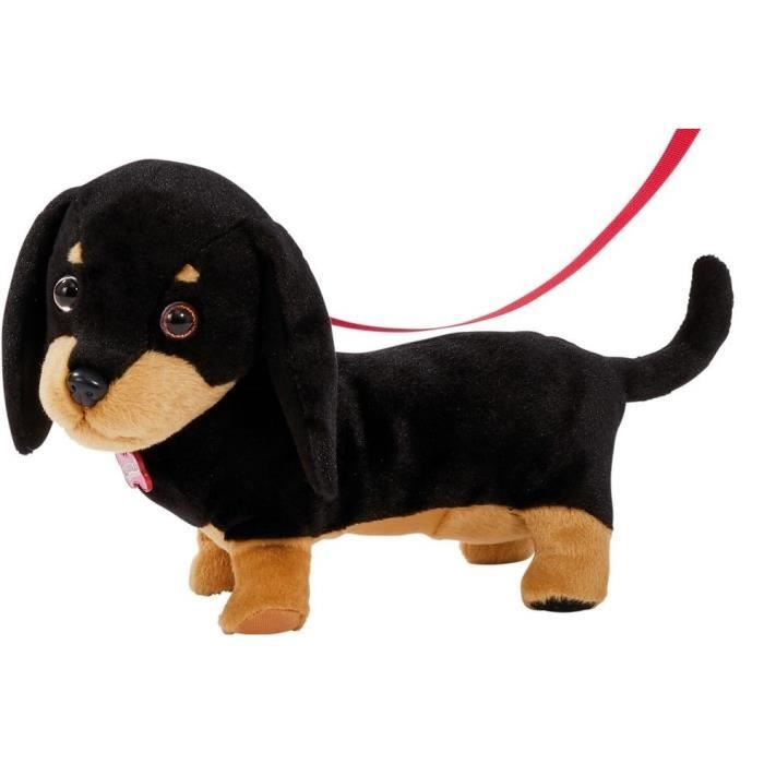 chien animagic