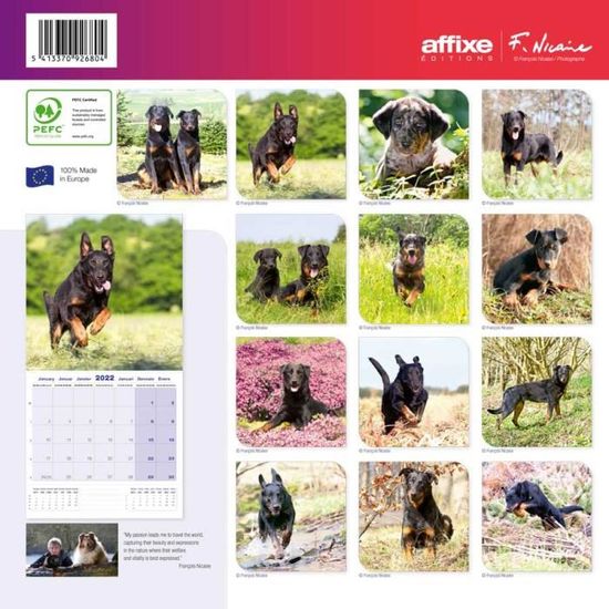 Calendrier Affixe 2023 Calendrier Beauceron 2022 - Affixe - Cdiscount Beaux-Arts Et Loisirs  Créatifs