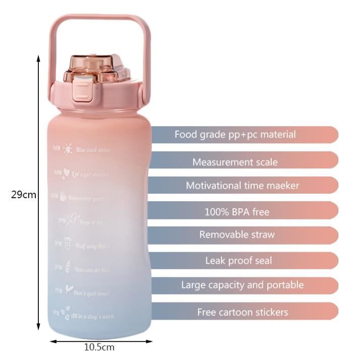 Générique Air Gourde Up 700 ML, Bouteille Air Gourde Up Gourde Sport Paille avec 8 Pods de Gout Gourde Aromatisée Air Gourde Up Tritan Water Bottle Fitness (2