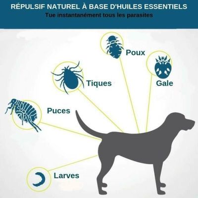 Collier Antiparasitaire Anti Puces Anti Tiques Pour Chien Ou Chat Taille 62cm Cdiscount