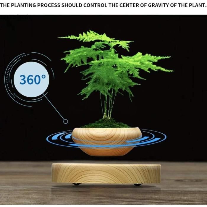 Levitation magnetique plante - Cdiscount