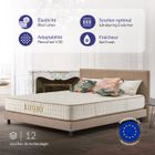 NATURALEX Matelas 160x200 cm - Luxury - Matelas Ressorts Ensachés,Mousse mémoire de forme HR + Blue Latex,Mi-ferme,épais 24 cm