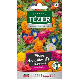 GRAINE - SEMENCE Sachet Graines - Tezier - Fleurs annuelles d'été en mélange -- Fleurs annuelles - Sachet Fleurs - Fleurs annuelles à utiliser sur