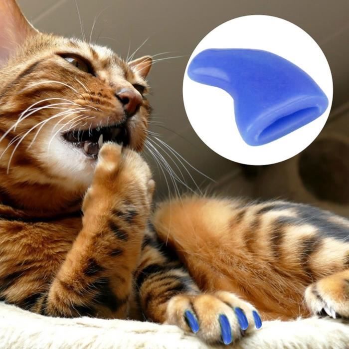 100 PCS Ongles de Housse de protection Anti Scratch pour chat Chien(Bleu L)