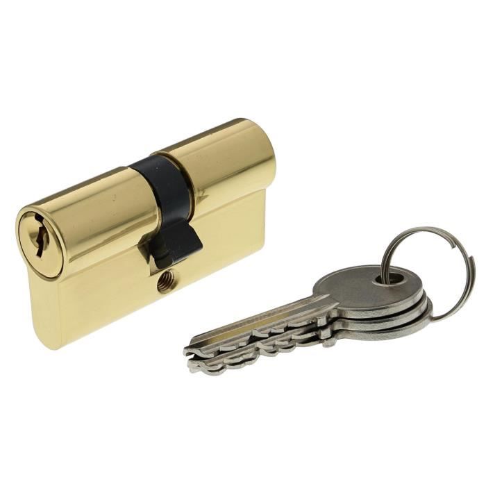 BRICARD SECURIPRO 30101 Cylindres 30+30 mm double entrée laiton