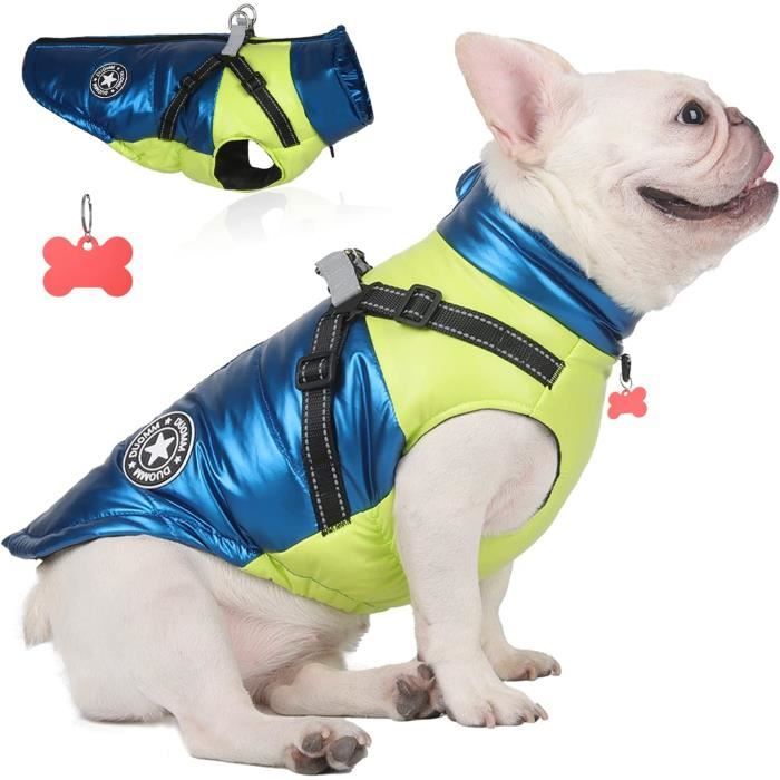 Combinaison cheap ski chien