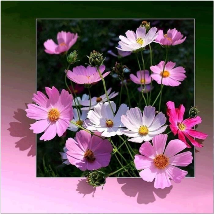 Cœurs Pétillants Acrylique 22 Mm - Rose Diamant - Lot De 100 - Décoration Table Fête Mariage Anniversaire - 7