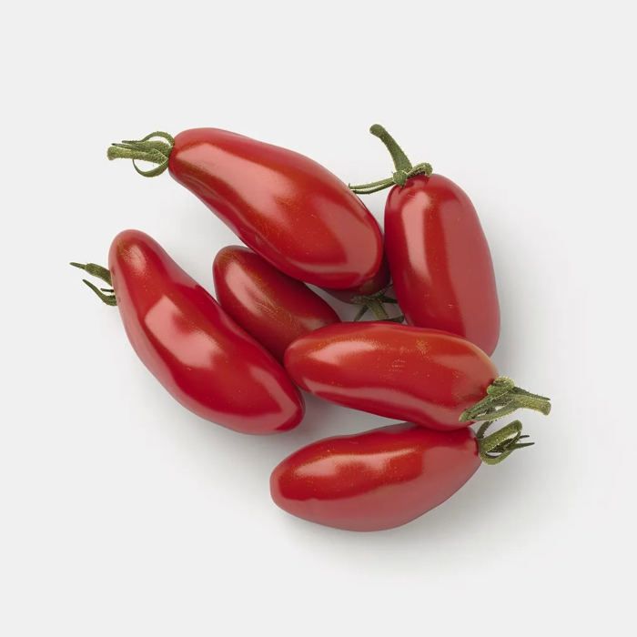 50 Graines de Tomate San Marzano SemiSauvage Permaculture Cdiscount Jardin