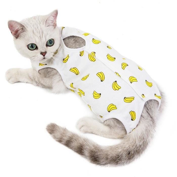 Vetement pour chat patron cheap