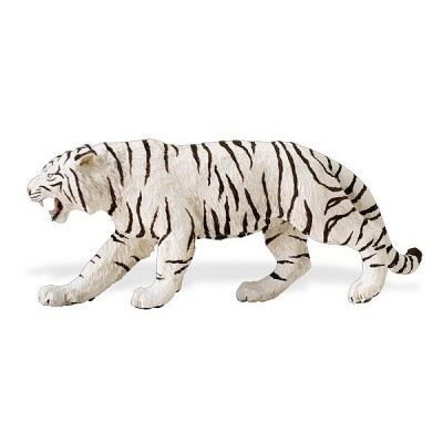 Tigre blanc - Adulte