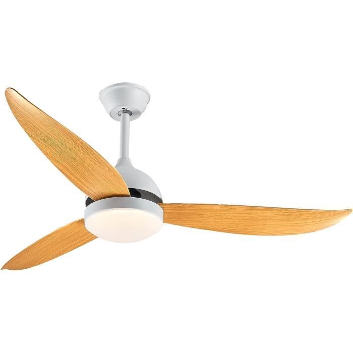 ZMISHIBO Ventilateur de Plafond avec Lumière et Télécommande