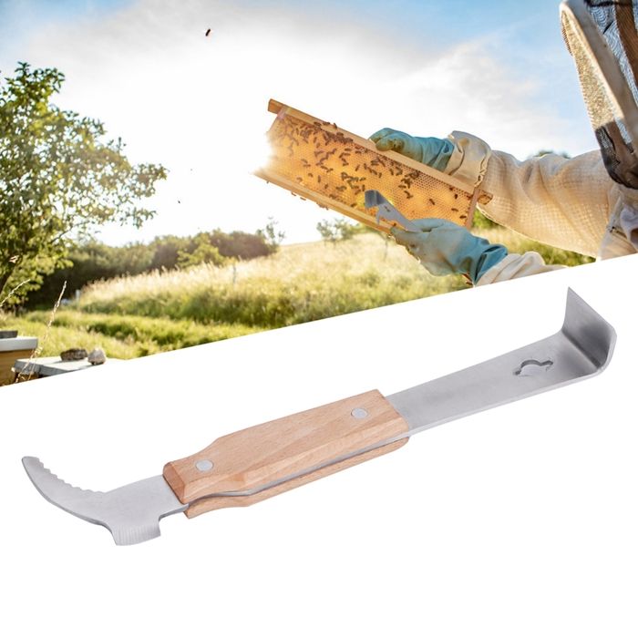 Grattoir De Ruche En Acier Inoxydable Outil De La Ruche