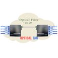 Convertisseur Fibre Ethernet, Fibre Optique SC Monomode (4 X 4 Ports RJ45)-2