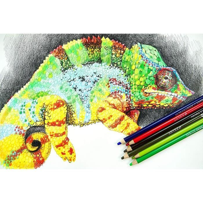 72 Pièces Crayons De Couleur Crayons De Dessin D'Artiste Crayons De  Peinture Crayons À Dessin Cotillons De Football Costume [u7275]
