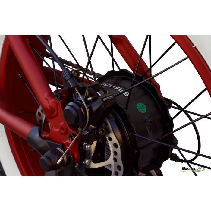 Fatty bikelec sales