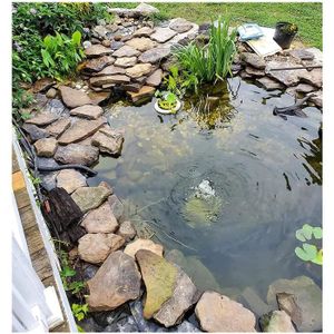 60 Tailles Résistant À La Perforation Anti-Infiltration PVC Noir Et Blanc Membrane Protection Solaire Film D'ensilage pour Étang À Poissons Serre GDMING Bache Bassin Bâche pour Étang Flexible 