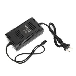 Batterie 24v 10ah pour wayscral séries 2 hot sale et 4