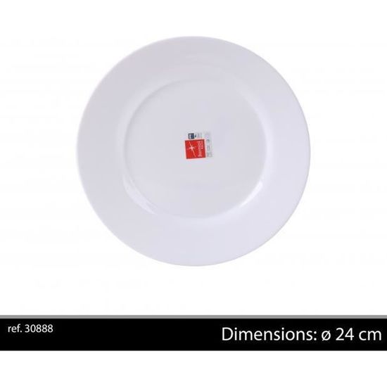 assiette plate 24 cm