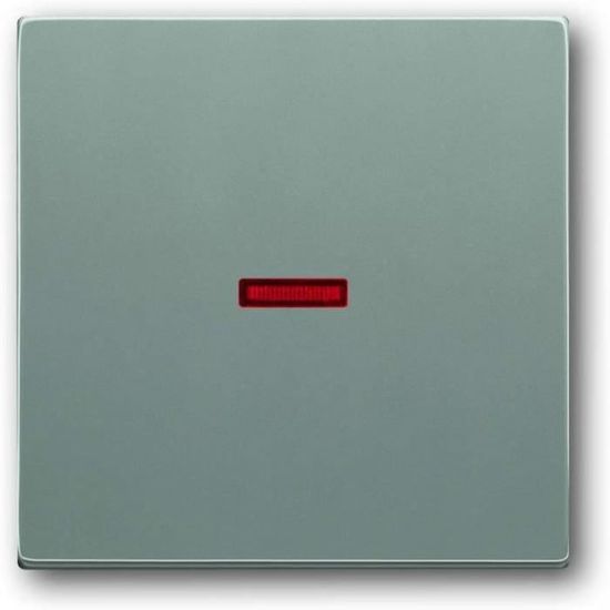 Busch-Jaeger 1789-803 Plaque De Recouvrement, Interrupteur