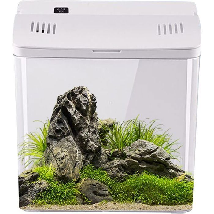 Aquarium pour Poisson Betta - Petits Aquariums pour Poisson Betta