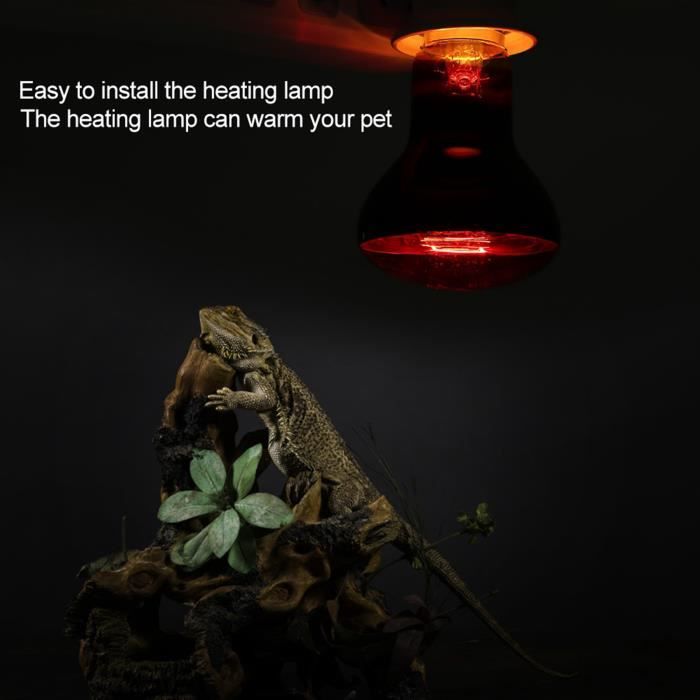 Lampe Chauffante Infrarouge 50W Pour Reptiles - Ampoule UVA, Douille E27, Pour Terrarium Lézards/serpents