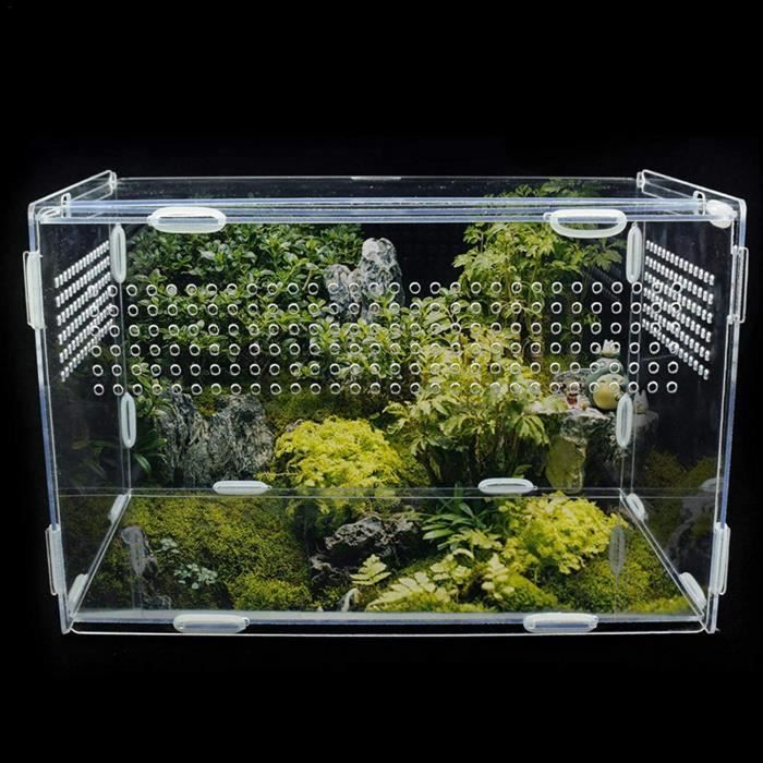 boîte d'alimentation d'insectes terrarium phasme terrarium pour reptile amphibien boîte transparente d'élevage de reptiles en [258]