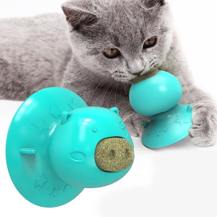 Chat Herbe A Chat Jouets Interactif Chat Jouet Lecher Traite Jouets Cochon Nez Forme Pour Chats Dents Nettoyage Macher Jouer 3 Cdiscount