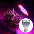 Lampe Led Horticole de Croissance Floraison pour Plante Plein spectre de lumière de l'usine Lampe pour Plante Culture 60W 60LED -3
