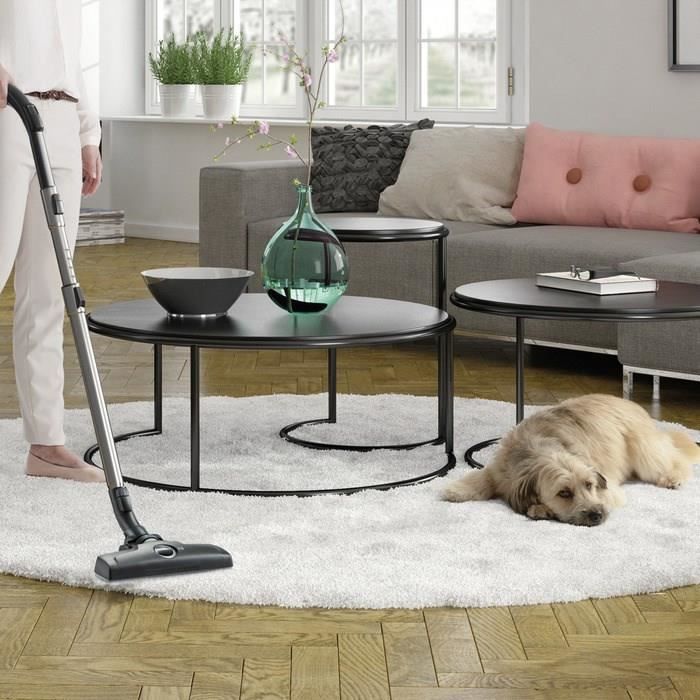 Aspirateur electrolux silent performer avis cheap