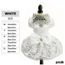 Robe Jupe Robes De Mariee De Luxe En Dentelle Pour Chien Jupe De Chat Blanche Robes De Princesse Pour Chiot Type White M Achat Vente Robe Jupe Robes De Mariee De
