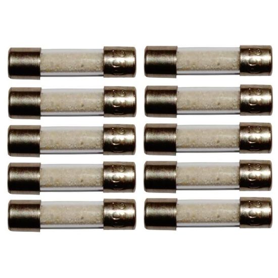 Lot de 10 fusibles temporisés T 2A 250V 5x20mm