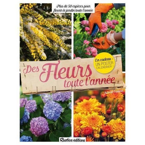 Des Fleurs Toute L Année Au Jardin Livre Des Fleurs Toute L Annee Plus De 50 Especes Pour Fleurir Le Jardin Toute L Annee Achat Vente Livre Parution Pas Cher Cdiscount