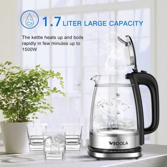 Bouilloire en verre anti-déflagrant à double couche à contrôle de température WE00LA