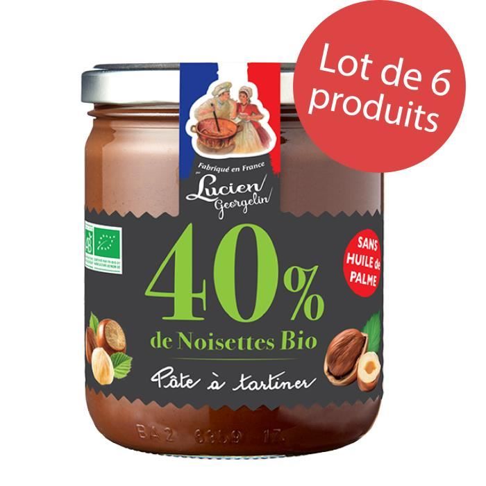 LOT 6 x Pâte à tartiner 40% de noisettes BIO 400G