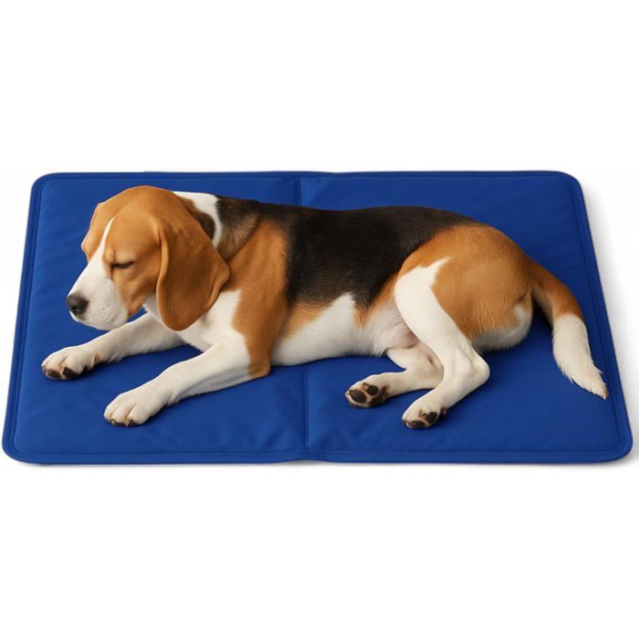 Coussin rafraîchissant - ULISEM - 50 x 65 cm - Gel auto-rafraîchissant - Bleu uni - Pour chiens et chats